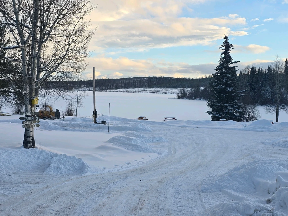 Image uploaded by Kim