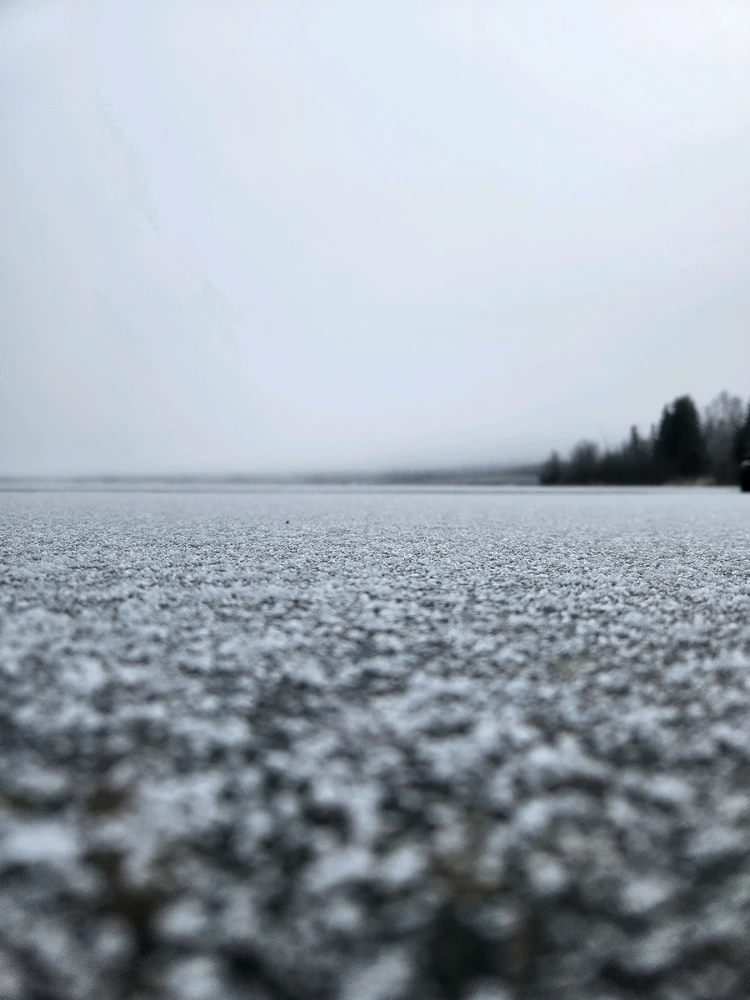 Image uploaded by Kim