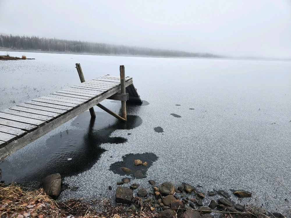 Image uploaded by Kim