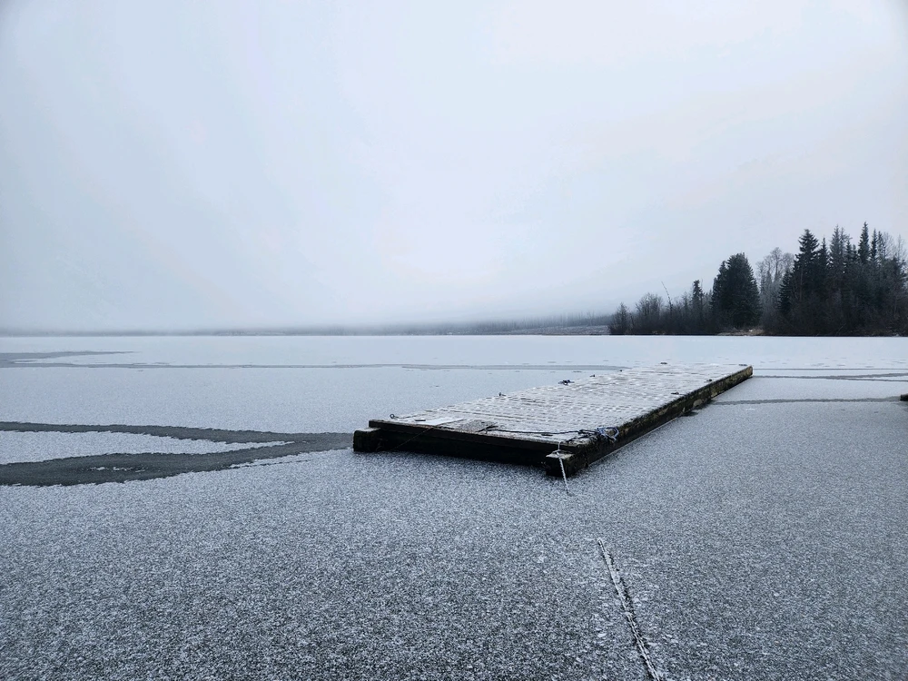 Image uploaded by Kim