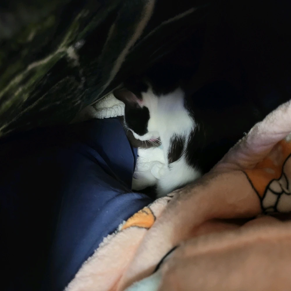 GIF uploaded by Denae