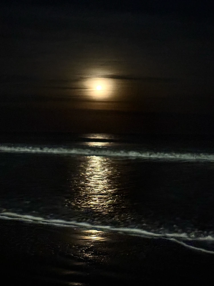 Imagen subida por Nuko