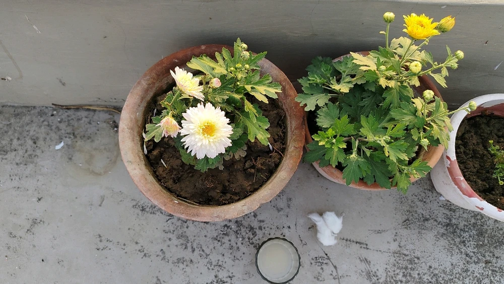 GIF uploaded by Trishna