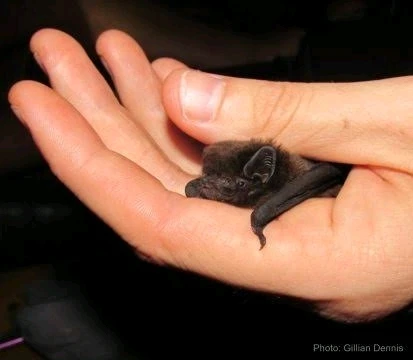 GIF uploaded by DezzieDee