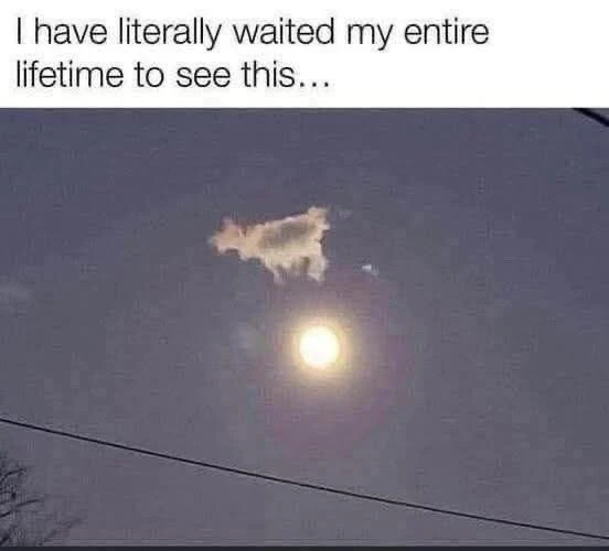 GIF uploaded by Matt