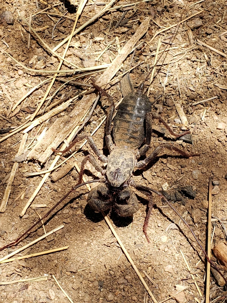 GIF uploaded by Mike