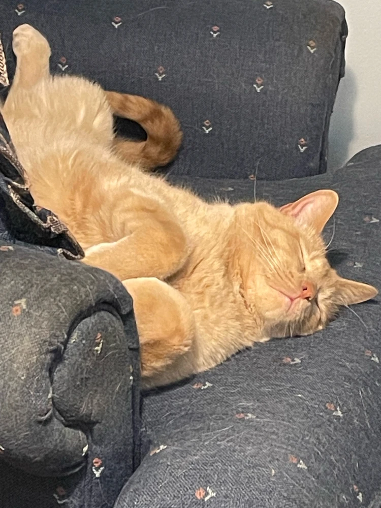 GIF uploaded by Robbie