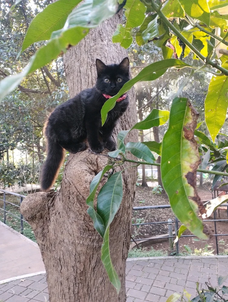 GIF uploaded by priyesh