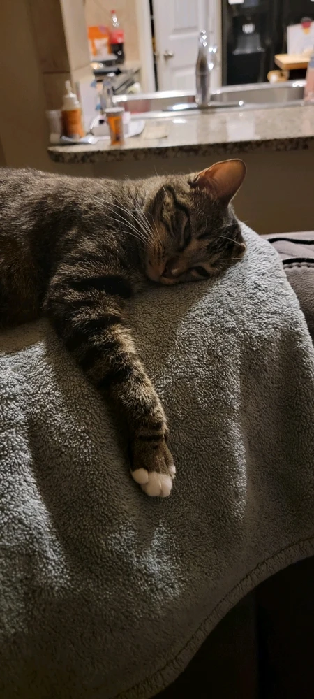 GIF uploaded by Jake