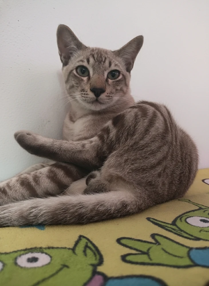 GIF uploaded by Jellyfish