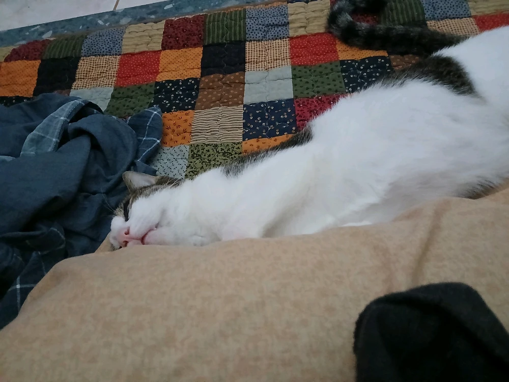 GIF uploaded by Dragoness