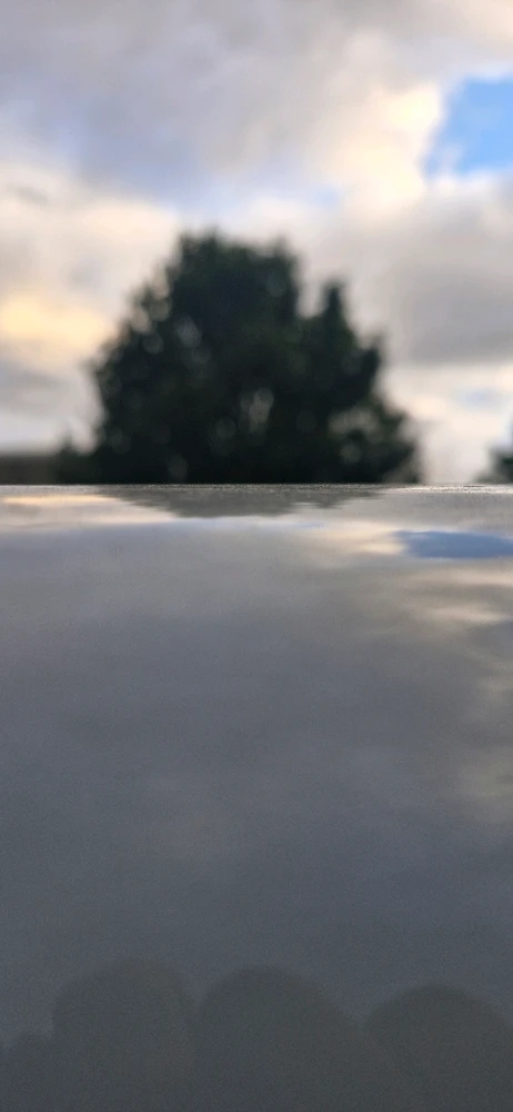 Image uploaded by Riley