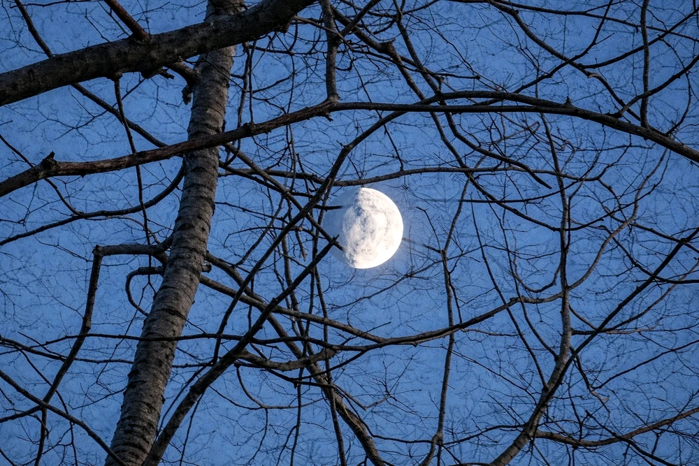 GIF uploaded by Holly