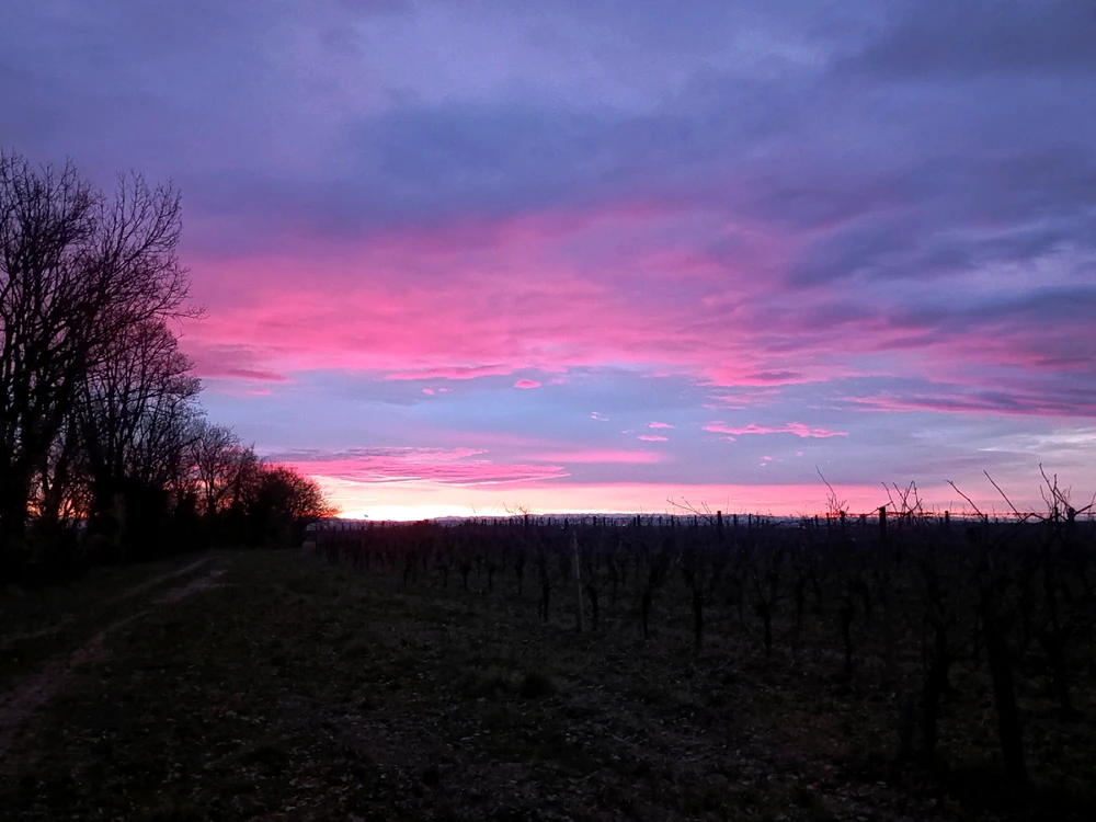 Image ajoutée par Marie