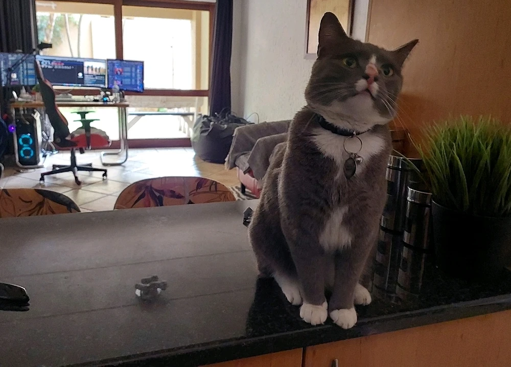 GIF uploaded by Jono