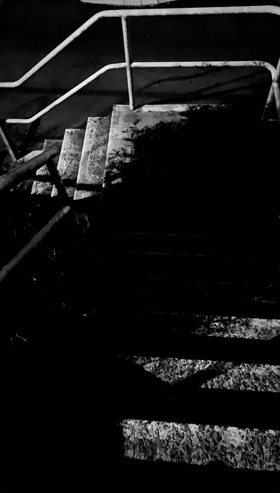 Image uploaded by Kim