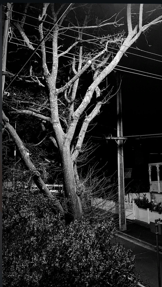 Image uploaded by Kim