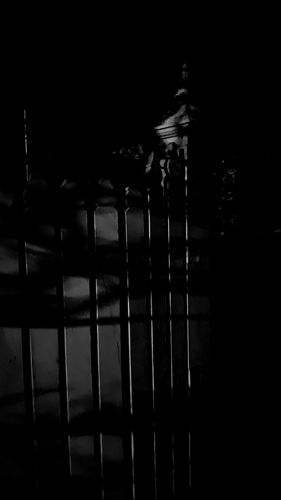 Image uploaded by Kim