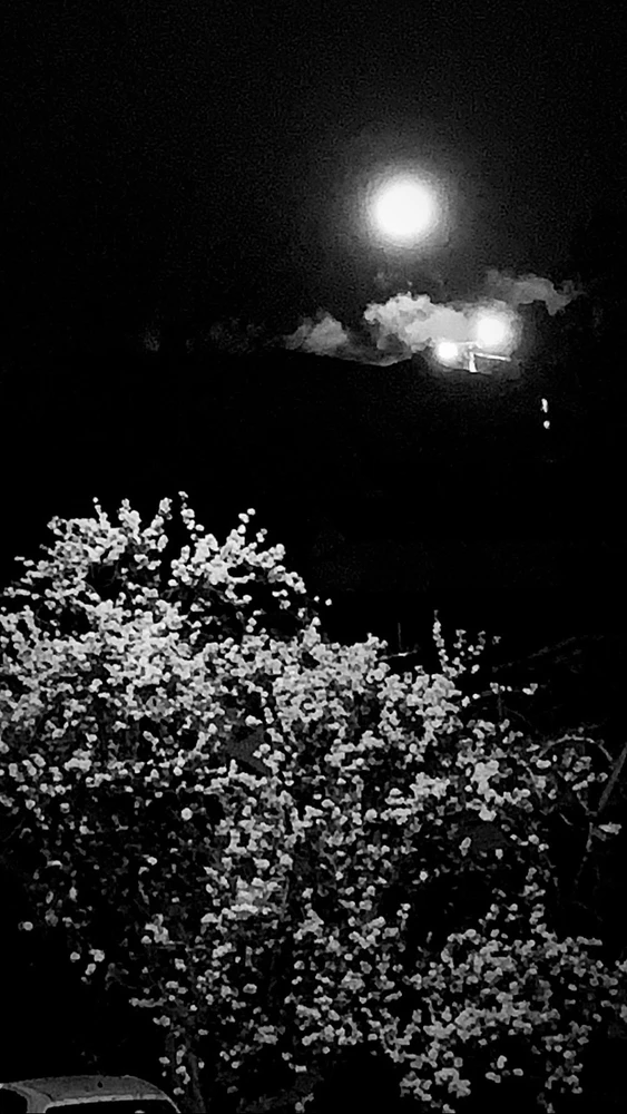 Image uploaded by Kim