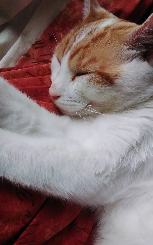 Image uploaded by Gareth