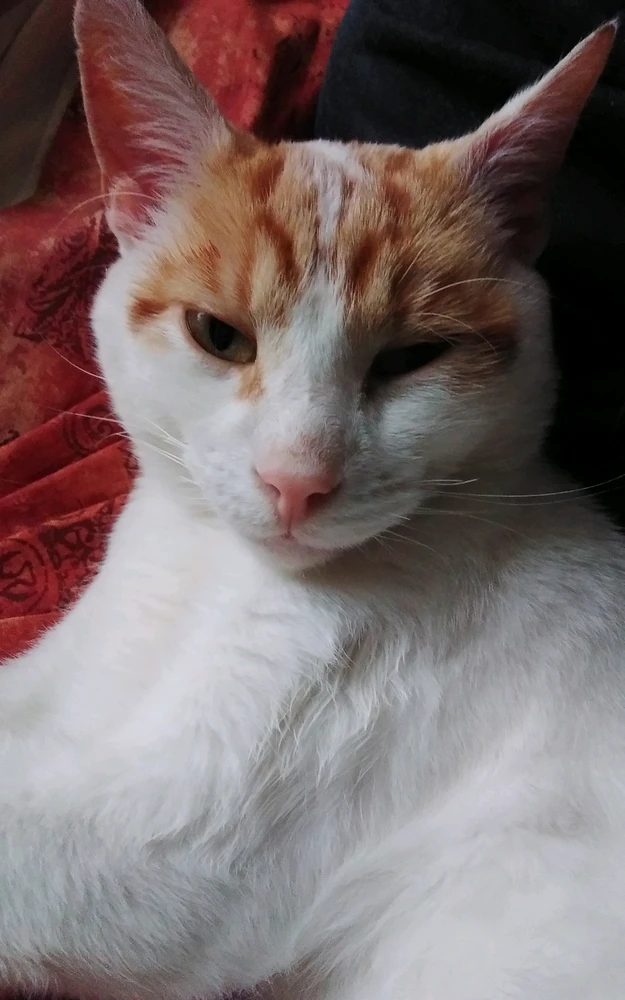 Image uploaded by Gareth