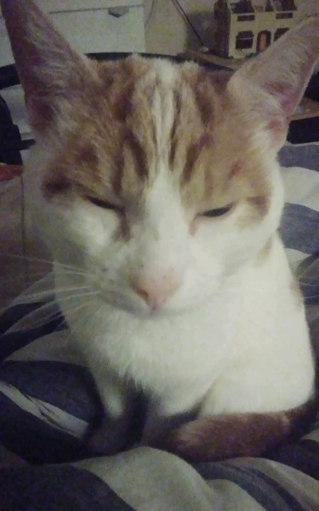 Image uploaded by Gareth