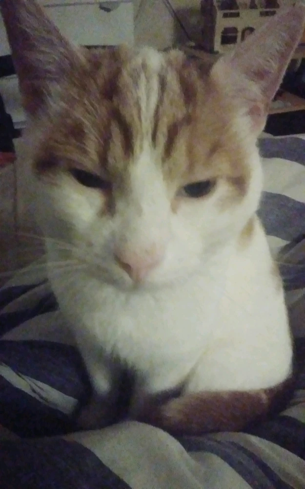 Image uploaded by Gareth