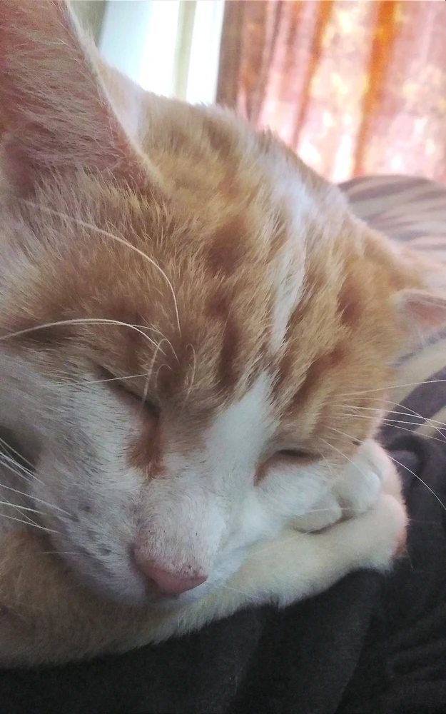 Image uploaded by Gareth