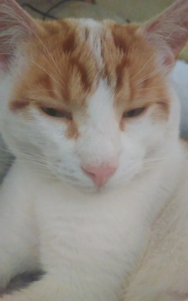 Image uploaded by Gareth