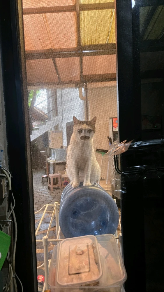 GIF uploaded by Gemma