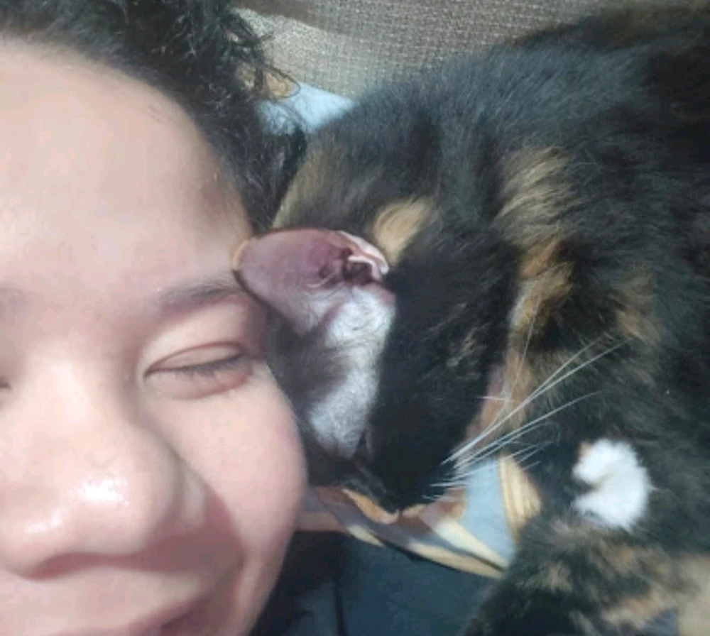 GIF uploaded by Gemma