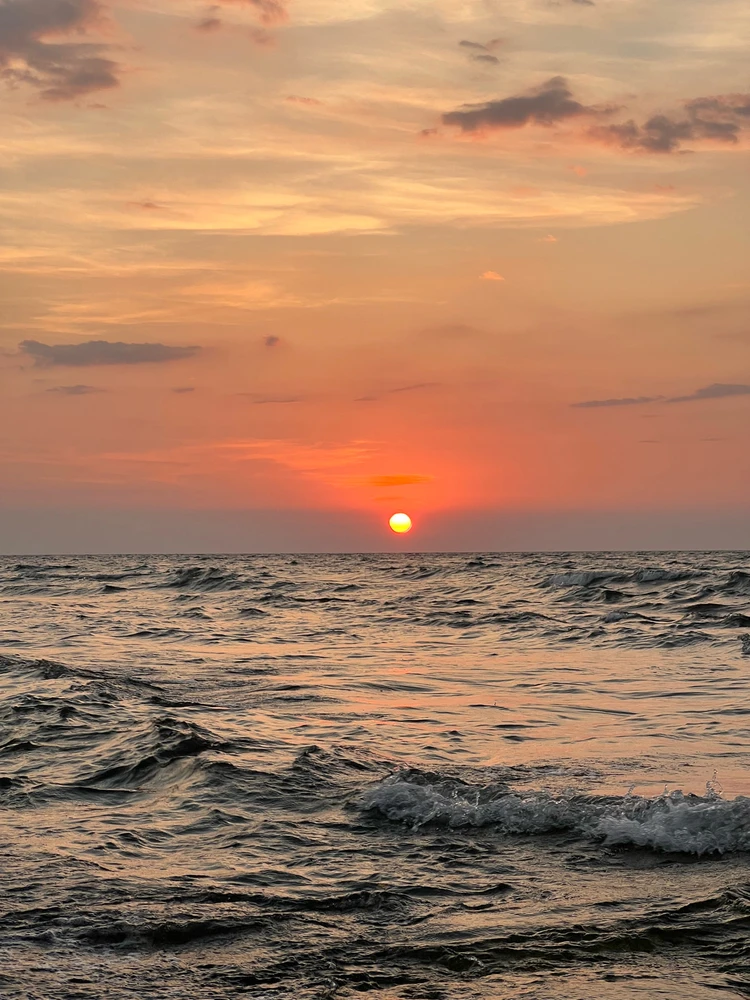 GIF diunggah dening Joy