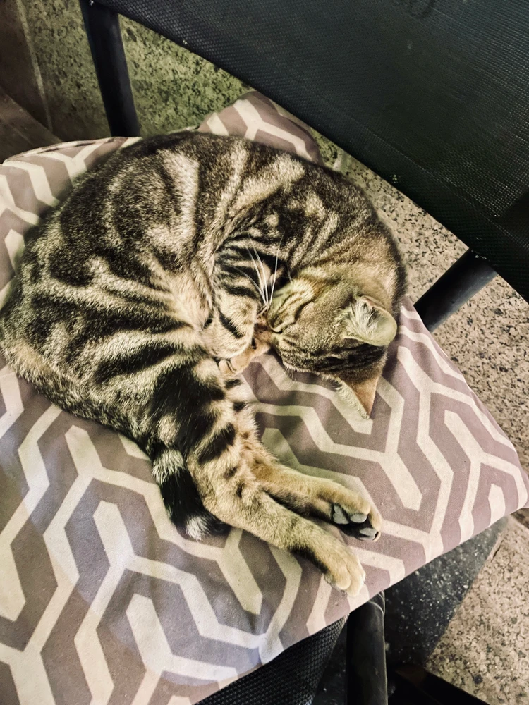 GIF uploaded by Telesto