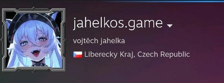 GIF nahrál Vojtěch