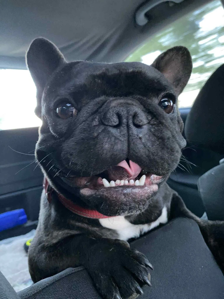 Imi által feltöltött GIF