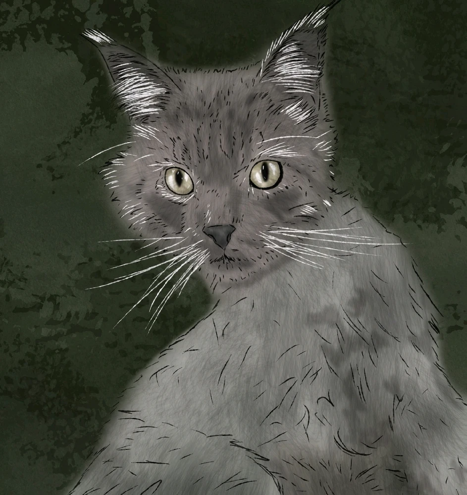 Image uploaded by Vi