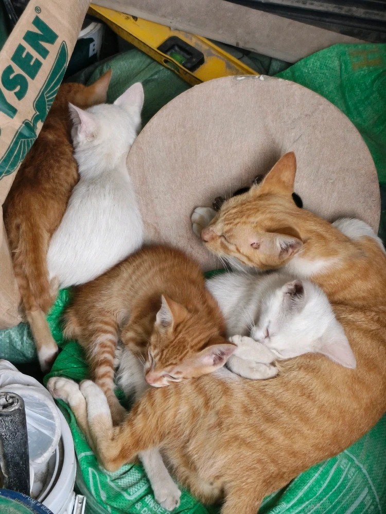 GIF uploaded by Loren