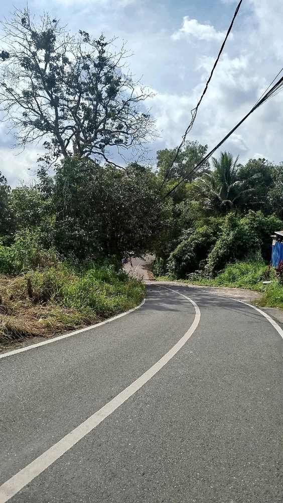 Image uploaded by Kina