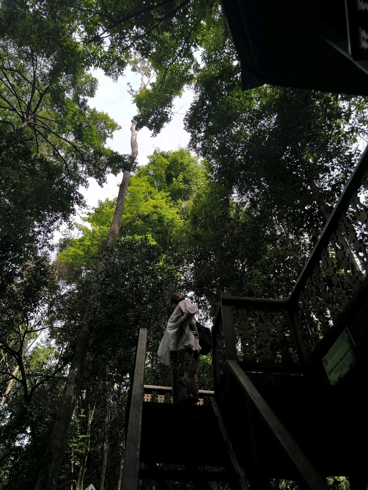 Image uploaded by Kina