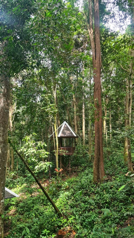 Image uploaded by Kina