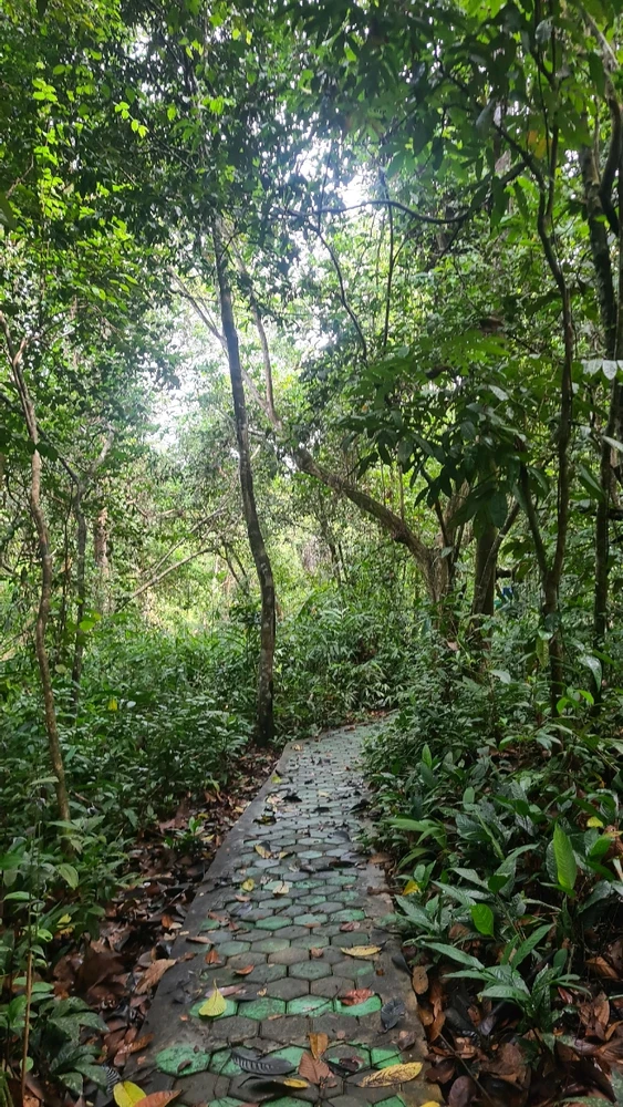 Image uploaded by Kina