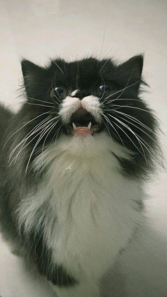 GIF uploaded by Yash pradhan