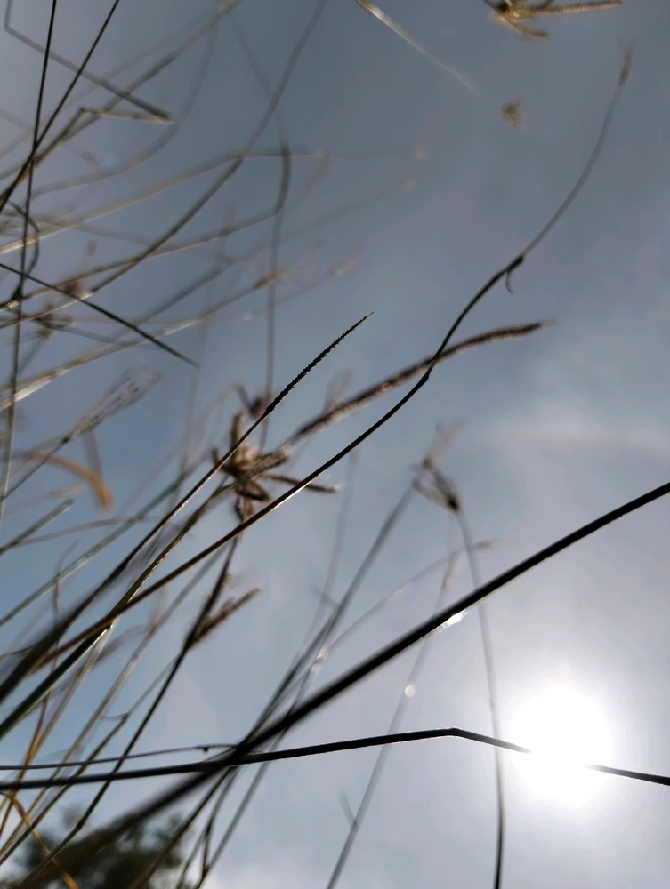 GIF diunggah oleh Nabilahft