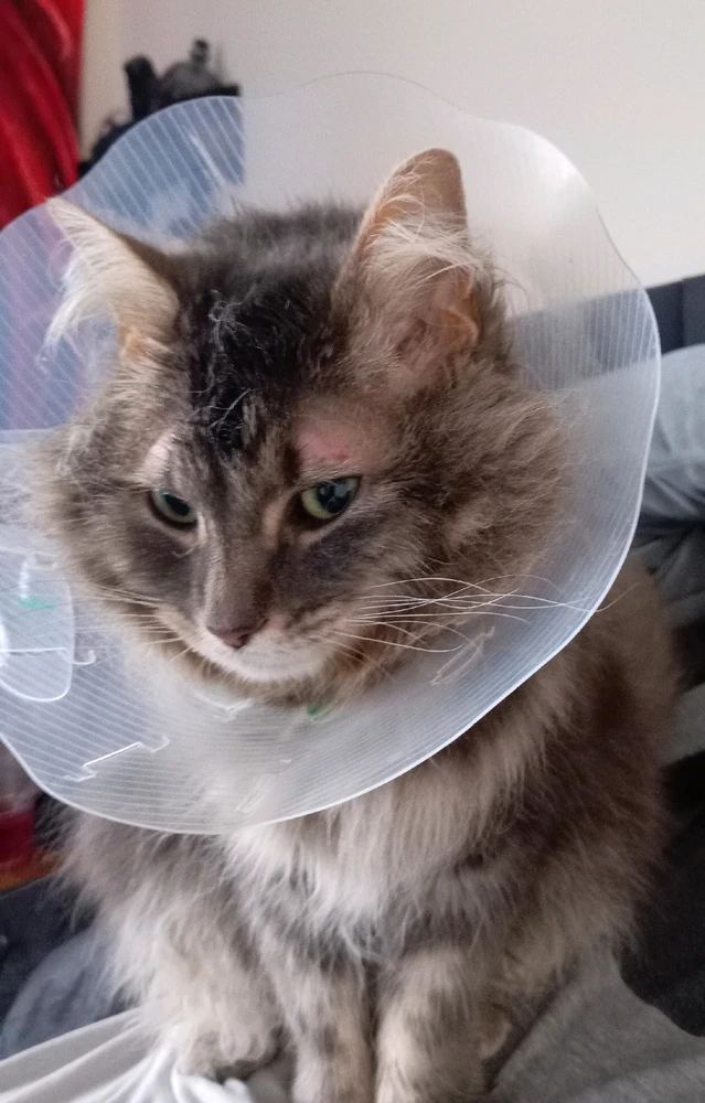 GIF uploaded by Andy