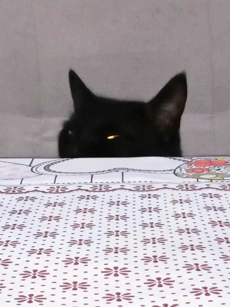 Imagem enviada por Ludimila