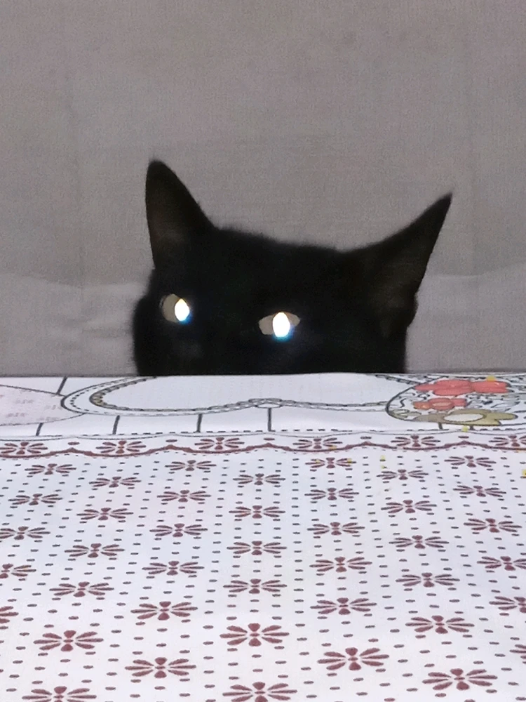 Imagem enviada por Ludimila