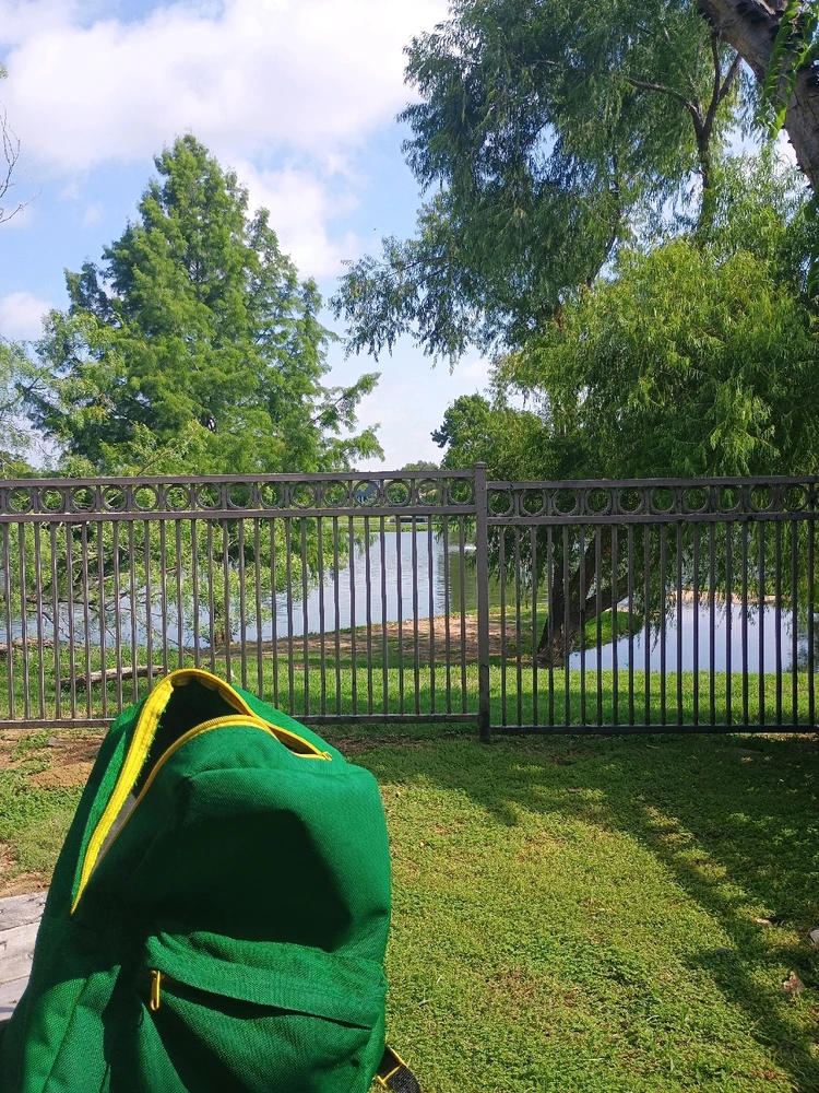 GIF uploaded by Auzzy