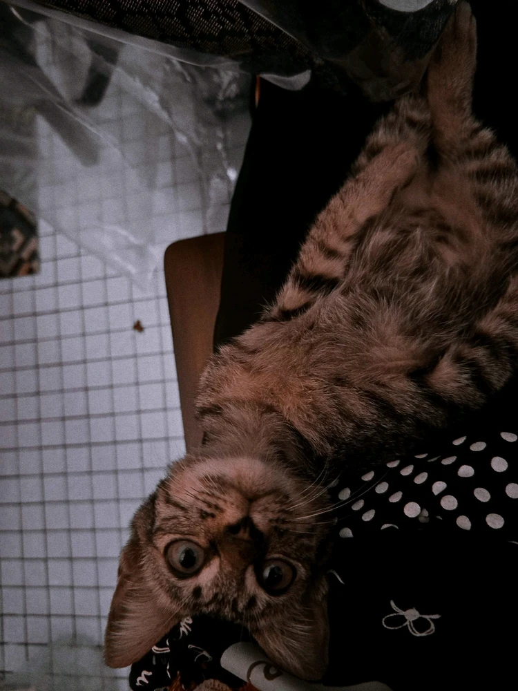 Image uploaded by 🦇𝐸𝓇𝒾