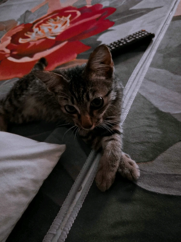 Image uploaded by 🦇𝐸𝓇𝒾