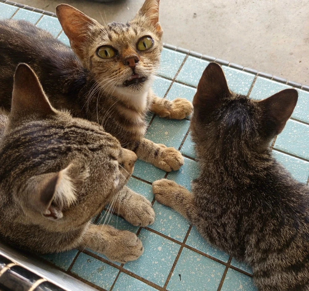 Image uploaded by 🦇𝐸𝓇𝒾